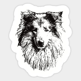 Rough Collie gift for Collie Owners Sticker